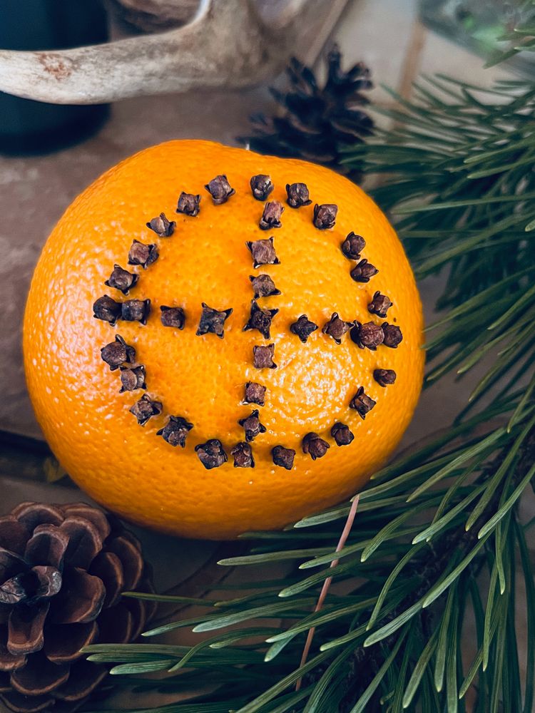 An orange decoratively pierced with cloves in the shape of a quartered circle. Conifer needles and cones are placed nearby.
