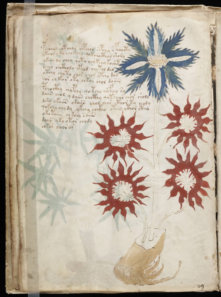 A weathered page of vellum parchment, inscribed with a strange script and illustrated with colorful flowers.