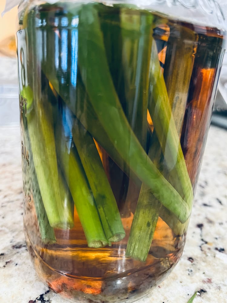 Green scallion stalks submersed in amber liquid, in a jar on a pale granite countertop.