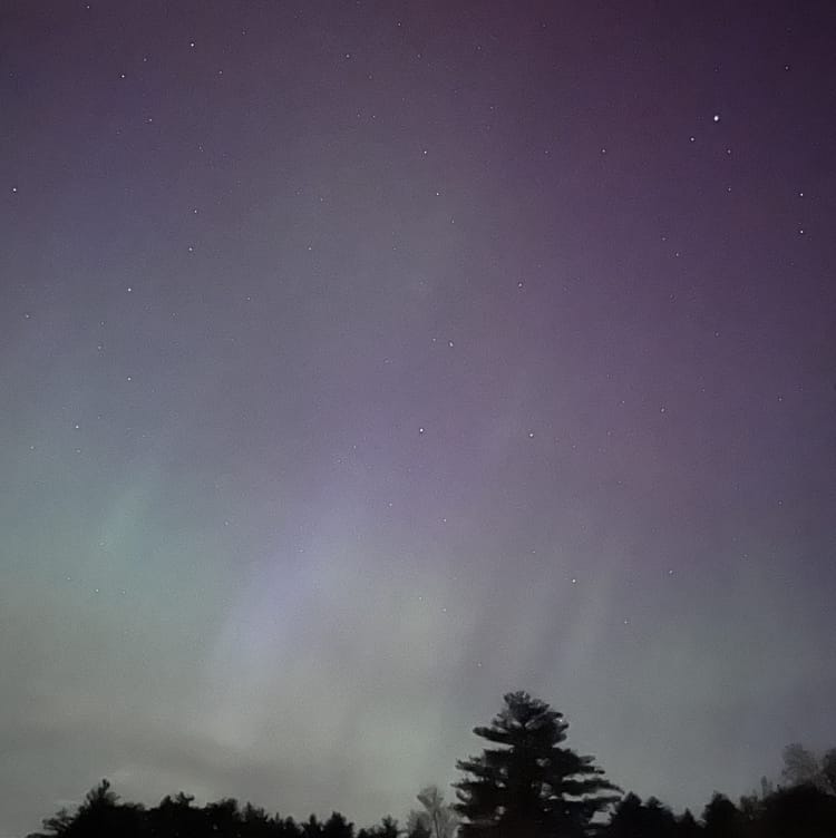 Green and pink-purple Northern Lights shimmering against a backdrop of faint stars. The horizon is black trees.