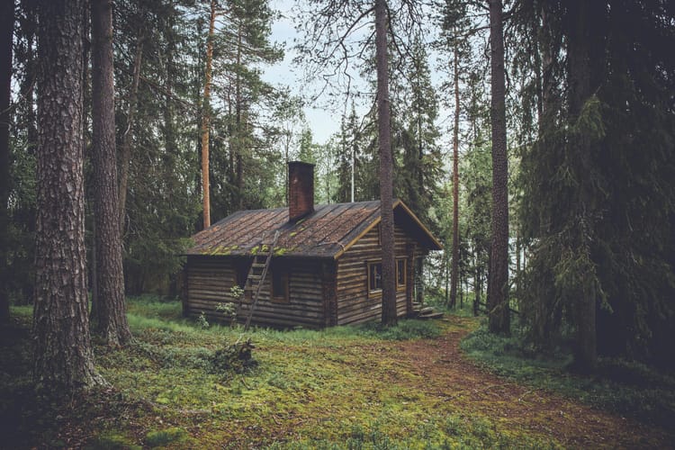 A log cabin with a brick chimney and steel roof. It's surrounded by conifers and mossy ground.