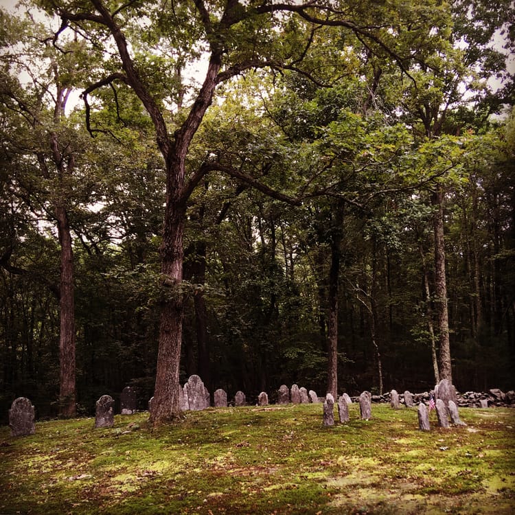 Small, weathered headstones on mossy ground covered partially by falling leaves. The surrounding trees are green but fading.