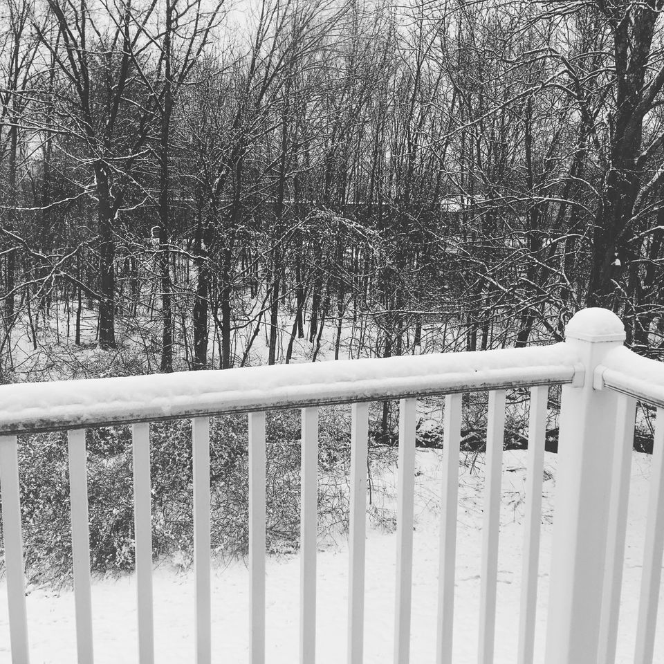 A black and white photo of a snow-covered grove of trees and bushes near a brook, viewed from a balcony.