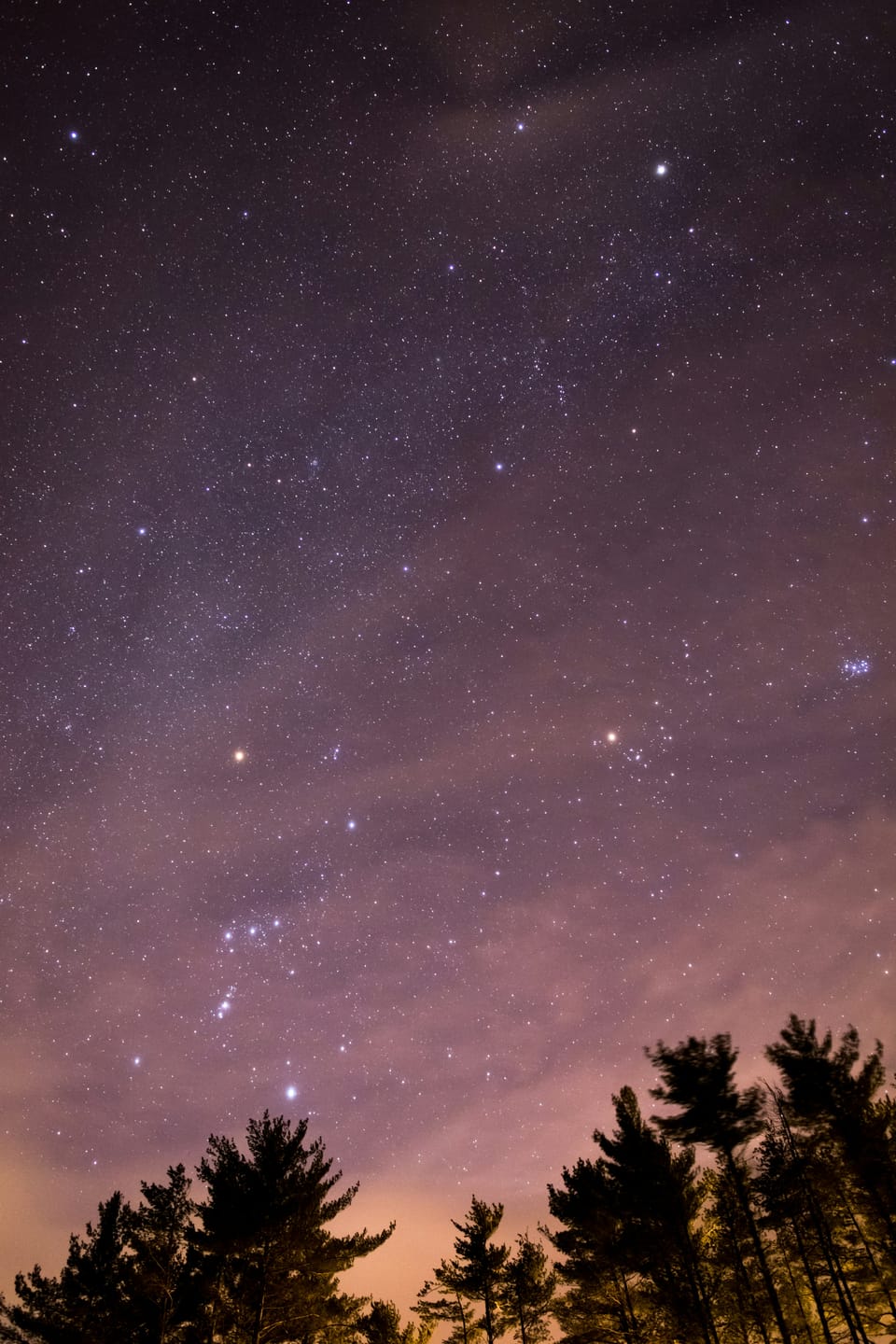 The constellations Orion and Taurus against an oddly pale, pink-purple sky complicated by clouds. Beneath are the silhouettes of pines.